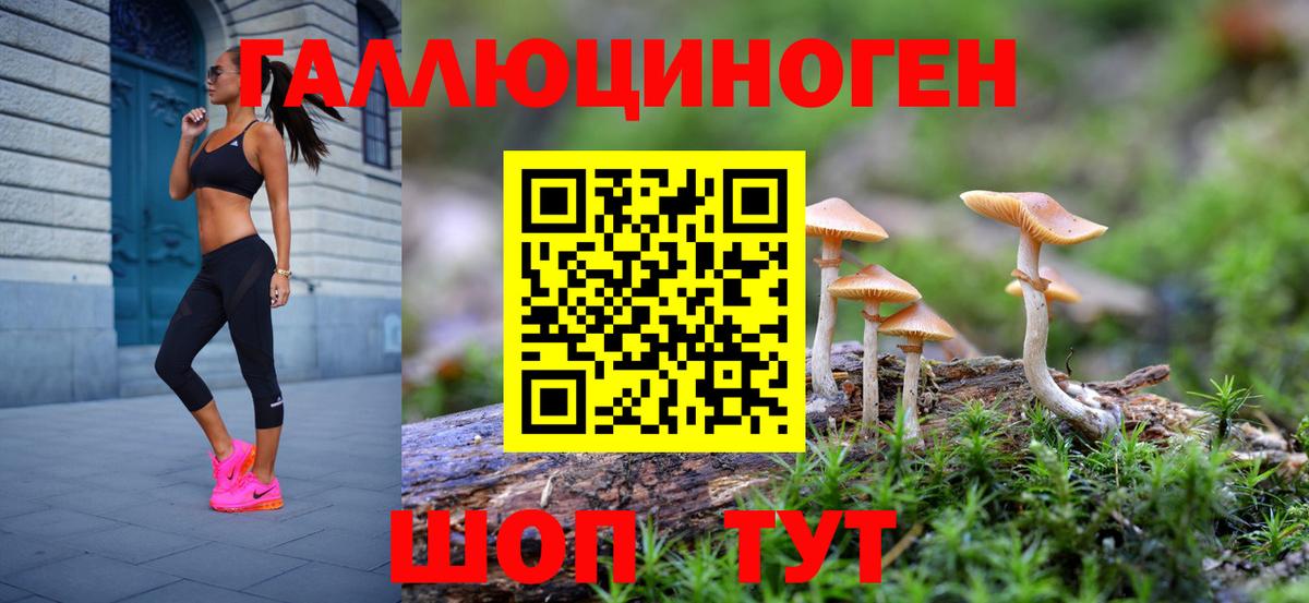 Можайск  Псилоцибиновые грибы Magic Shrooms  Вход с VPN 